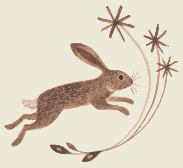 Seeds and Stars